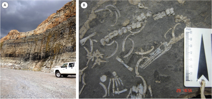 Resultados ethnographicos e archeologicos da Exploração do Rio