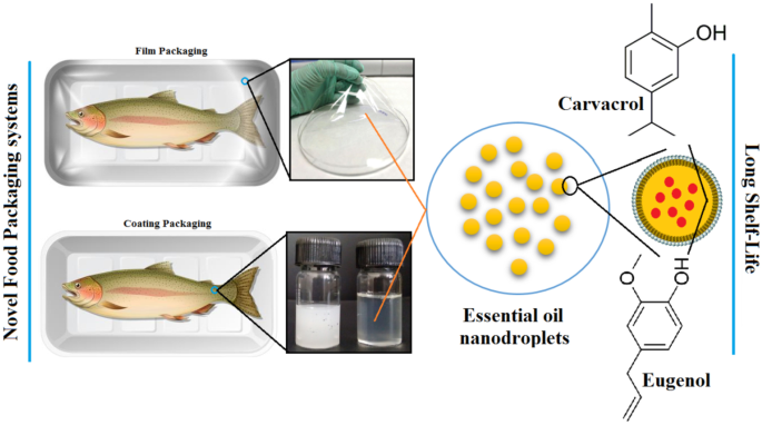 Recent Innovations in Emulsion Science and Technology for Food