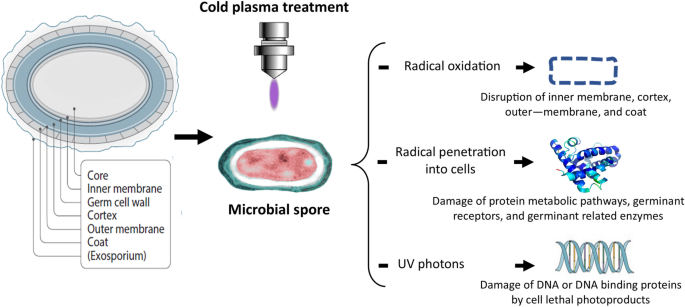 The Future of Sustainable Farming Could Be Cold Plasma