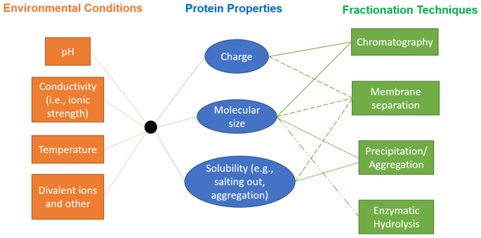 Separation innovation for quality food products