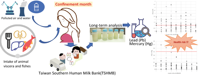 glutathione in breast milk maternal intake copper The molecular mechanism and therapeutic landscape of and cuproptosis cancer Maternal fish oil supplementation enhances