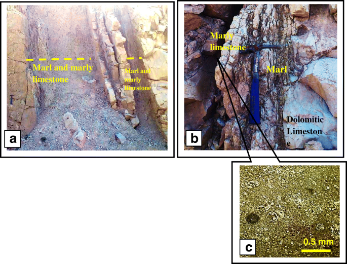 Facies associations and sequence stratigraphy of the Middle-Late Eocene Pila  Spi Formation in the High Folded Zone, Kurdistan Region, northeastern Iraq