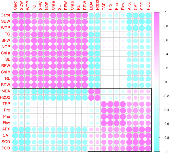 Calendario Chino 2022 ¿os coincide?