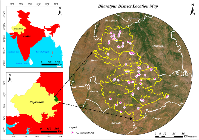 A google earth engine–driven machine learning framework for mustard crop mapping and suitability index assessment - Applied Geomatics