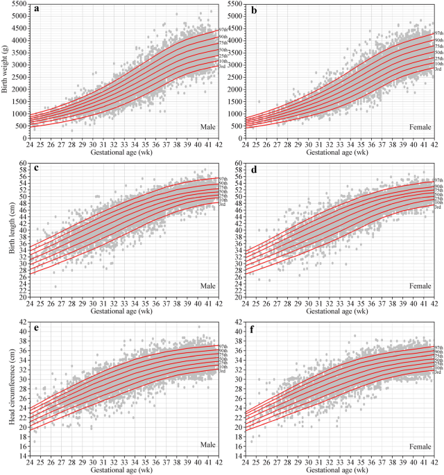 How newborn growth changes during the first year