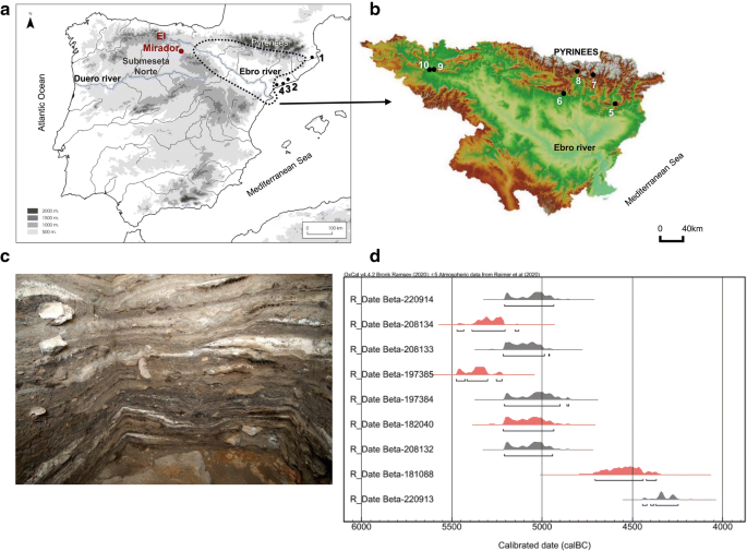 Pastoral Practices, Bedding and Fodder During the Early Neolithic Through  Micromorphology at Cova Colomera (Southeastern Pre-Pyrenees, Iberia)