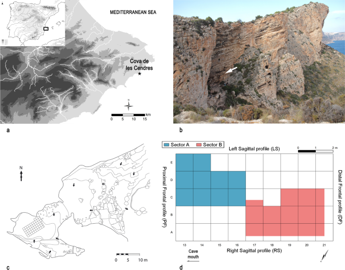 Pastoral Practices, Bedding and Fodder During the Early Neolithic Through  Micromorphology at Cova Colomera (Southeastern Pre-Pyrenees, Iberia)