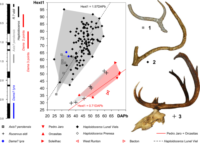 PDF) Systematic butchering of fallow deer (Dama) at the early middle  Pleistocene Acheulian site of Gesher Benot Ya'aqov (Israel)