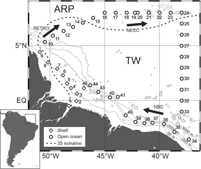 Epipelagic cnidarian fauna in the Western Equatorial Atlantic Ocean off the  Amazon River Delta | Marine Biodiversity