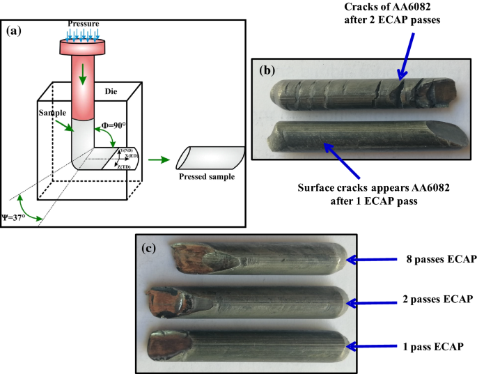 PDF) Topological aspects in the microstructural evolution of AA6082 during  hot plastic deformation