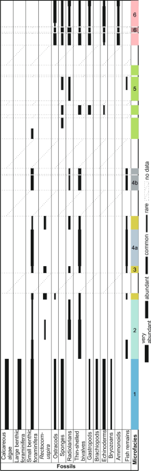 Late Permian (P.) to early Early Triassic (A) δ 13 C, (B) δ 238 U, and