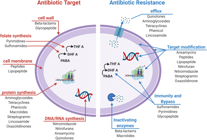 Synthetic peptides that form nanostructured micelles have potent antibiotic  and antibiofilm activity against polymicrobial infections