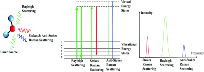 Temporal In Vitro Raman Spectroscopy for Monitoring Replication Kinetics of  Epstein–Barr Virus Infection in Glial Cells