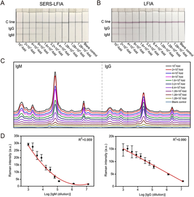 Temporal In Vitro Raman Spectroscopy for Monitoring Replication Kinetics of  Epstein–Barr Virus Infection in Glial Cells