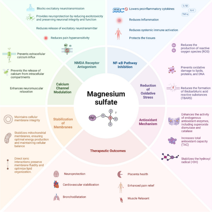 dangers of nebulized glutathione Safety and Efficacy Inhaled Natural Product Powders That Enhance Mucociliary Clearance | AAPS PharmSciTech Harnessing Nebulized Glutathione Therapy for