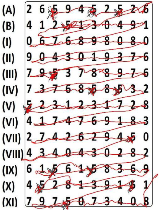 Online Handwriting, Signature and Touch Dynamics: Tasks and