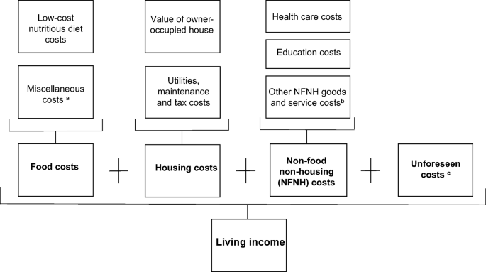 Living income benchmarking of rural households in low-income countries |  Food Security