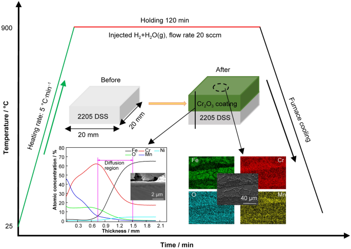 https://media.springernature.com/m685/springer-static/image/art%3A10.1007%2Fs12598-022-02248-y/MediaObjects/12598_2022_2248_Figa_HTML.png