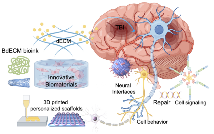 Innovative breakthroughs in novel biomaterials for traumatic brain injury and cranial repair | Rare Metals