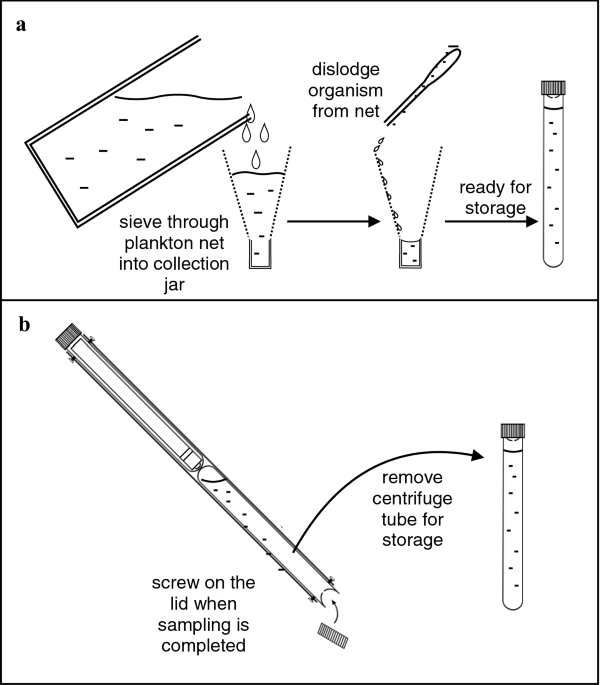 Centrifuge Tube Trap: A Direct-Sampling Mini Plankton Light Trap