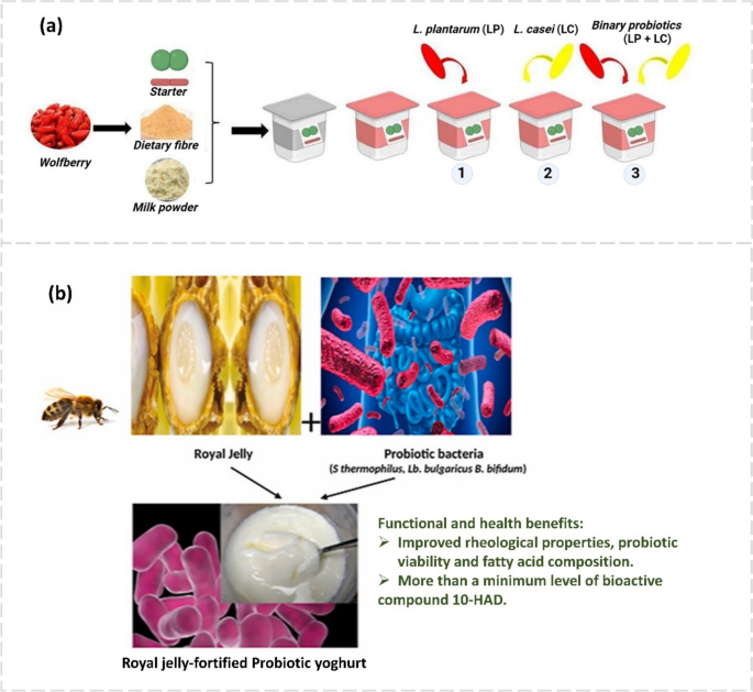 Natural Bioactive Compounds Enriched Functional Yogurt: Impact on the Probiotic Bacteria and Its Potential Health Benefits | Probiotics and Antimicrobial Proteins | Springer Nature Link Natural Bioactive Compounds Enriched Functional Yogurt: Impact on the Probiotic Bacteria and Its Potential Health Benefits | Probiotics and Antimicrobial Proteins | Springer Nature Link