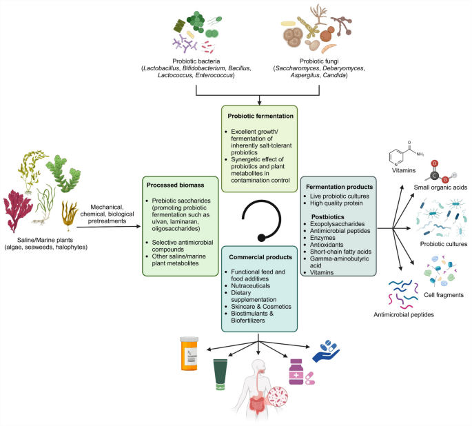 can glutathione give you diarrhea Probiotics and Postbiotics Derived from Saline/Marine Plant-Based  Feedstocks | Probiotics and Antimicrobial Proteins