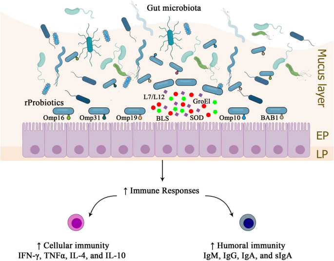 glutathione causes diarrhea A novel strategy for activating S-transferases reveals the effects of HuaiHua San on CPT-11 induced treatment Measles can be fatal. Do
