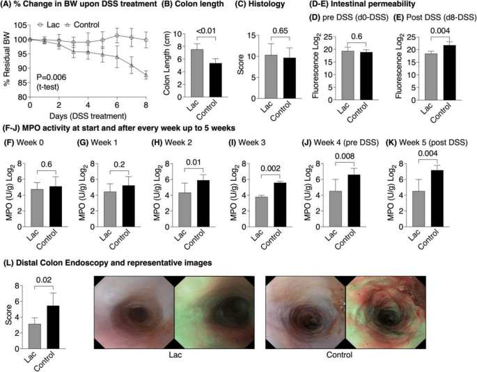 Lactobacillus plantarum Attenuates Intestinal Inflammation and Prolongs Remission in Experimental Models of Crohn’s Disease