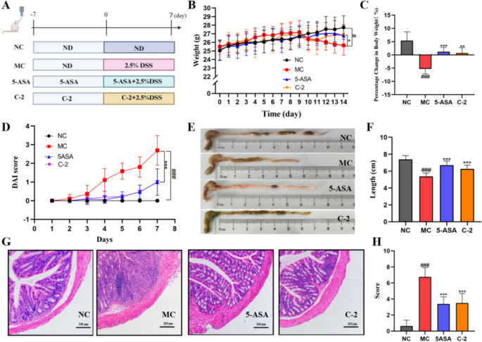 Bifidobacterium animalis subsp. lactis C-2 Alleviates DSS-induced Ulcerative Colitis via the Microbiota-tryptophan Metabolism-AhR Pathway