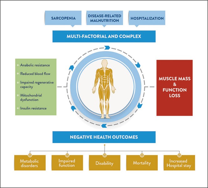 Health Benefits And Applications Health Benefits And Applications