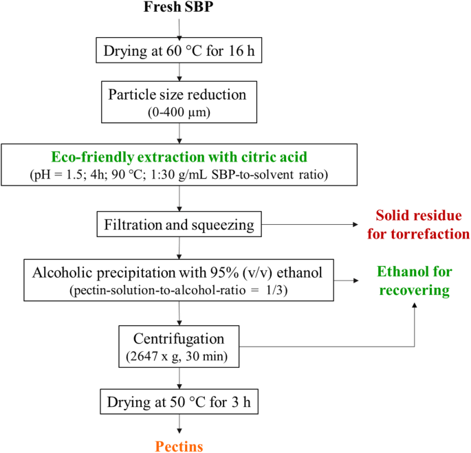 Application of Filters in the Pulp Juice Process. – Filter Concept