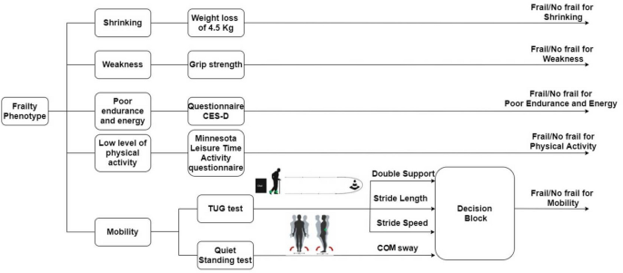 An optimized system for mobility evaluation in frailty phenotype