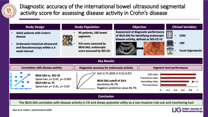 Diagnostic accuracy of the international bowel ultrasound segmental activity score for assessing disease activity in Crohn’s disease