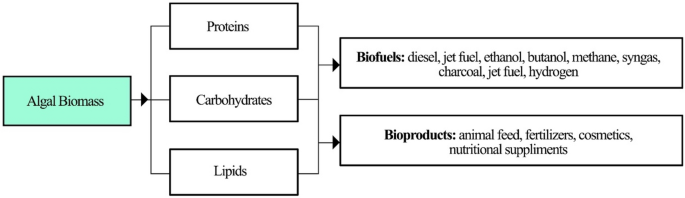 A critical review on second- and third-generation bioethanol