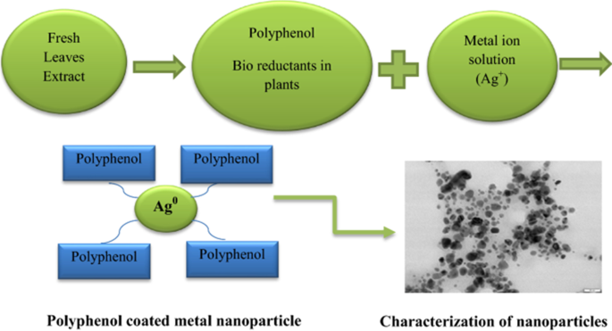 Stability of the YGYGY and HGHGH nanoparticles in water and in