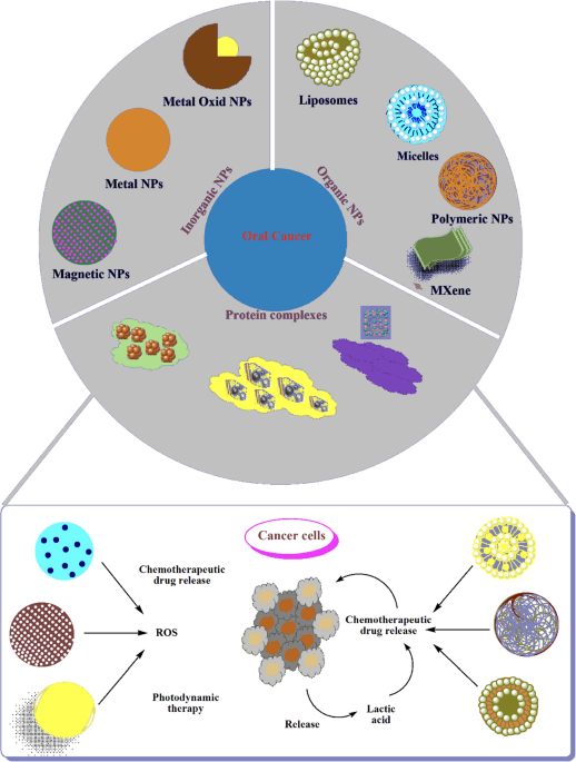 is alpha flow liposomal glutathione good Independent testing finds six of twelve top-selling Amazon supplements fail label claims Alpha Flow (Bundle) L Tyrosine