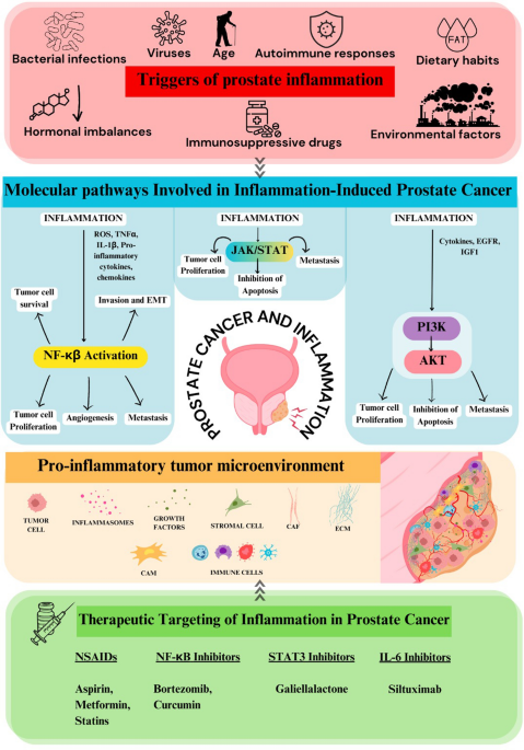 does glutathione cause hormonal imbalance 9 Health Benefits of The heat of the battle: