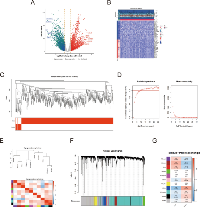 Prognostic risk modeling of endometrial cancer using programmed cell death-related genes: a comprehensive machine learning approach