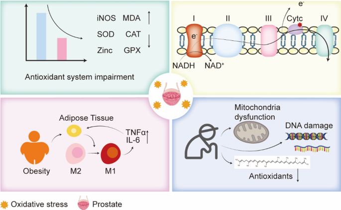 glutathione s transferase drug resistance Frontiers
