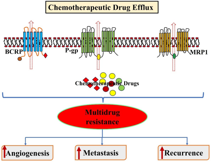 glutathione efflux drug treatment Re-sensitization of cancer multidrug resistance through P-gp, MRP1 and BCRP modulation: advances in terpenoids based cancer therapy | Discover Oncology Gluta White Hydrating Skin