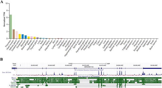 Expression and functional diversity of the glucagon-like peptide-1 receptor  across tumor types | Discover Oncology | Springer Nature Link