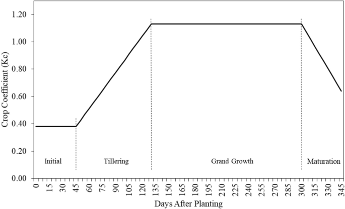 Water requirement and crop coefficient of sugarcane cultivated in