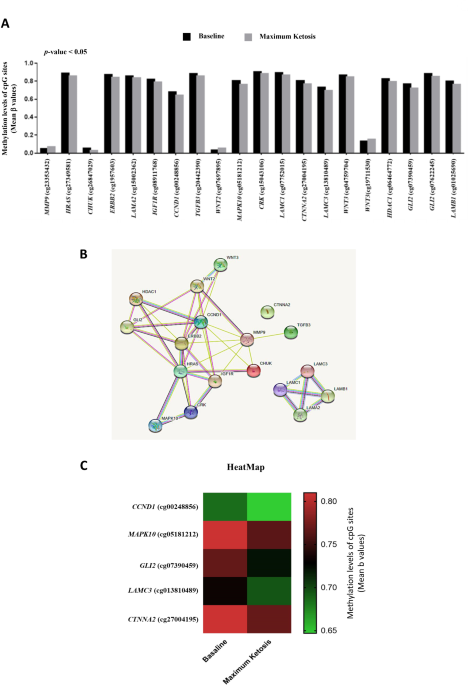 cjc 1295 ipamorelin gh pulses Why These 5 Peptides Are At The Top Of My Research List. , 1. CJC-1295 +  Ipamorelin The gold standard combo. These two work on different receptor  pathways, one extends your GH pulse, the other