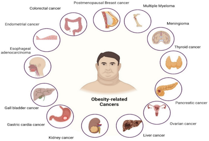 tirzepatide and liver Tirzepatide associated with a potential targeted effect on visceral fat and  liver fat