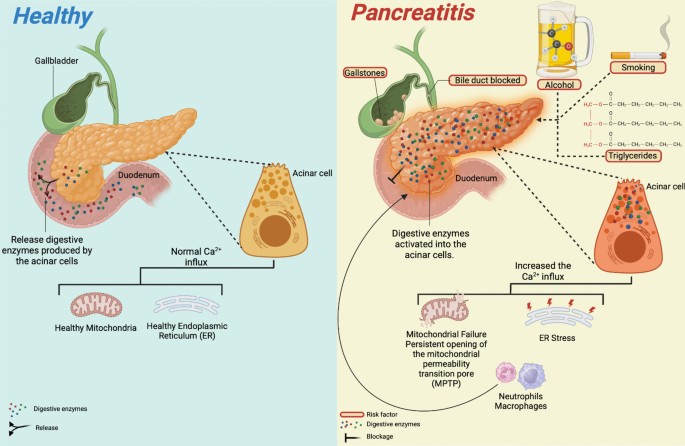 no appetite suppression on semaglutide GLP-1 Genetics: How Genes Affect Appetite, Semaglutide, and Tirzepatide  Response