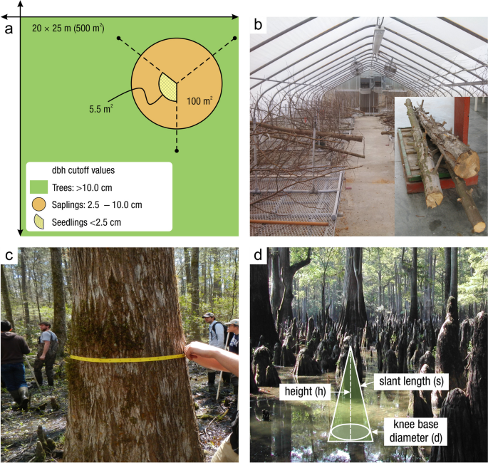 Practical Guide to Measuring Wetland Carbon Pools and Fluxes