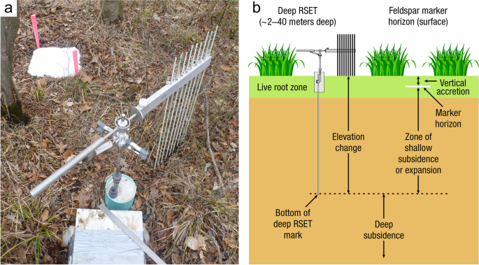 https://media.springernature.com/m685/springer-static/image/art%3A10.1007%2Fs13157-023-01722-2/MediaObjects/13157_2023_1722_Fig17_HTML.png