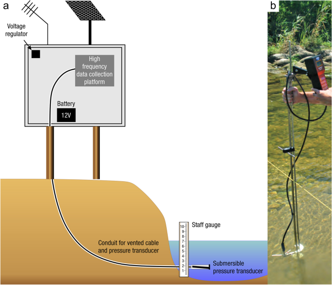 https://media.springernature.com/m685/springer-static/image/art%3A10.1007%2Fs13157-023-01722-2/MediaObjects/13157_2023_1722_Fig25_HTML.png