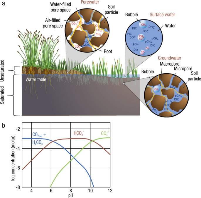 Practical Guide to Measuring Wetland Carbon Pools and Fluxes