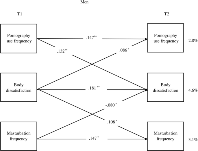 Curves and Pixels: Longitudinal Associations Between Frequency of  Pornography Use and Body Dissatisfaction in a Sample of Young Hungarian  Adults | Sexuality Research and Social Policy | Springer Nature Link